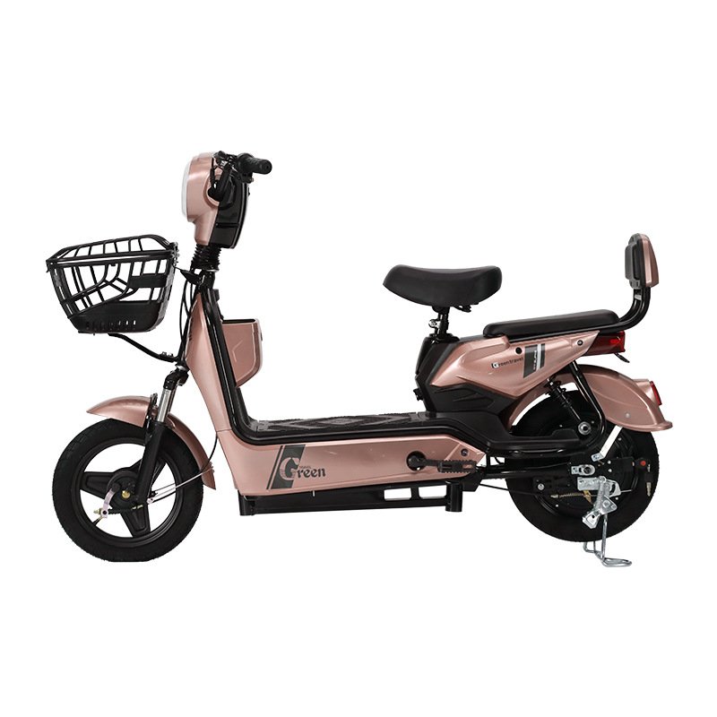 Hot Selling Ebike Electric Bike Electric City Bike Bicycle Control Unit electric Bike With Pet Carrier