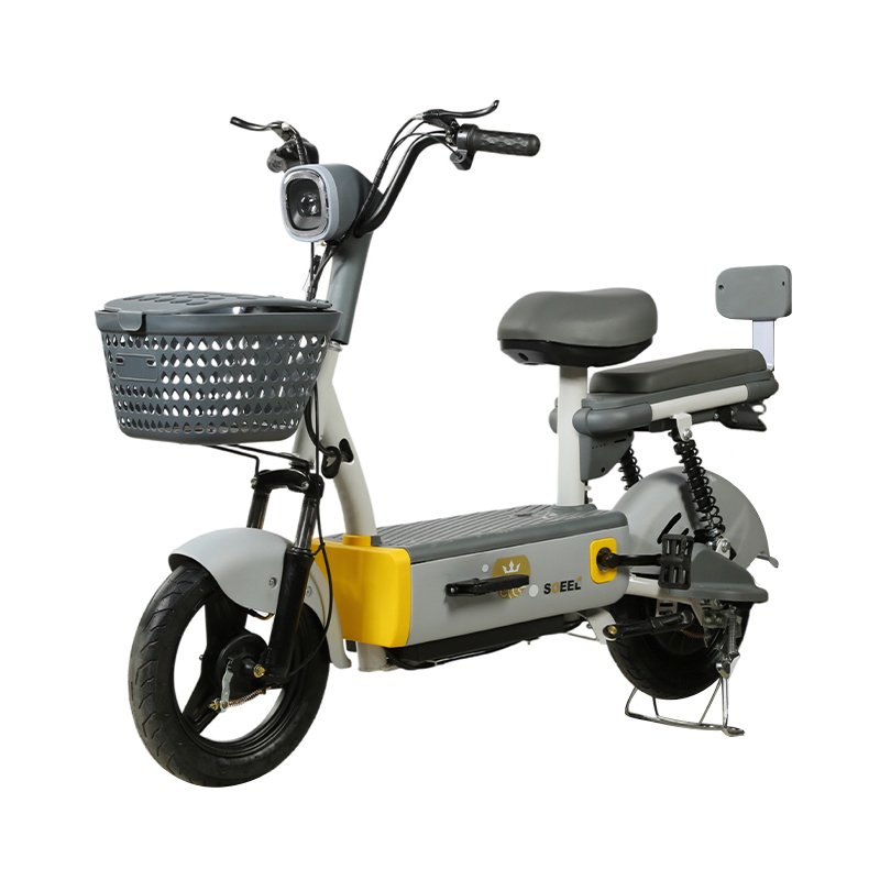 Factory Wholesale City Electric Bicycle 350w 48v Adult Electric City Bike Lead Acid Battery Two Wheel 2 Seat