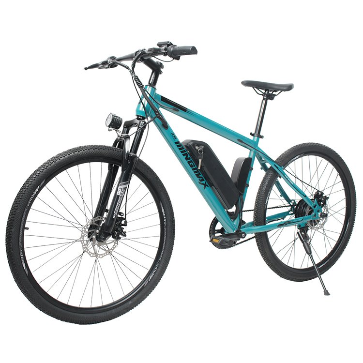 China Factory Electric Mountain Bike 36V Lithium E BIKE Electric Bicycle