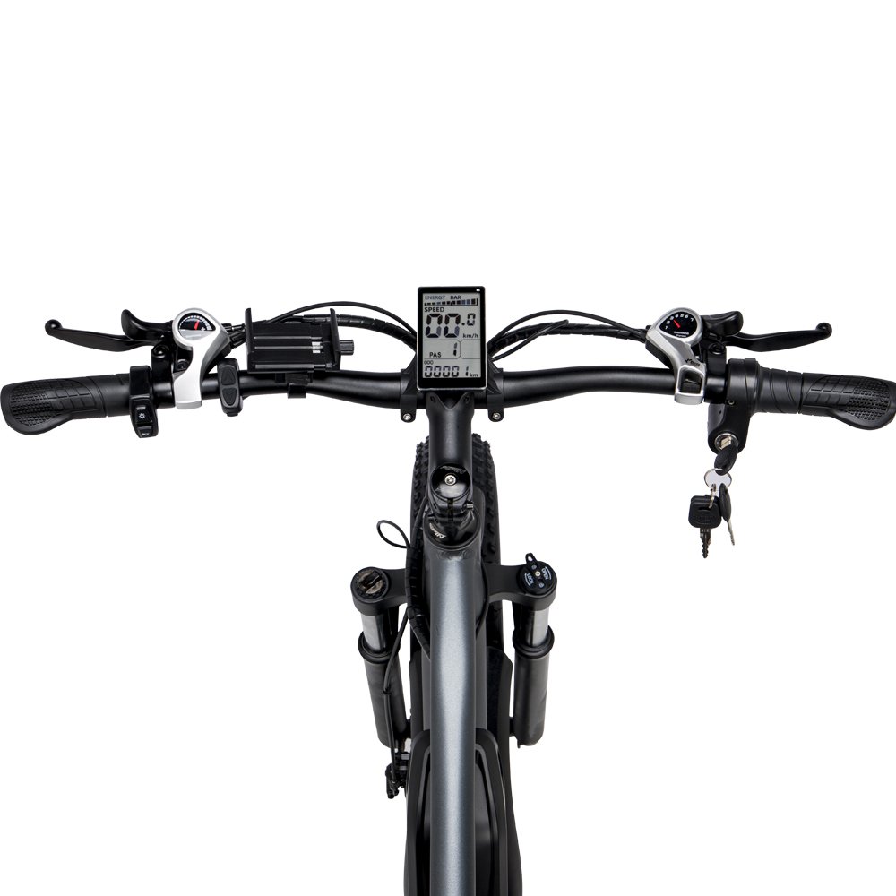 USA Warehouse  26 Inch Fat Tire Electric Mountain Bike 1000W 48V 15AH Long Ride Range Electric Bike For Adult