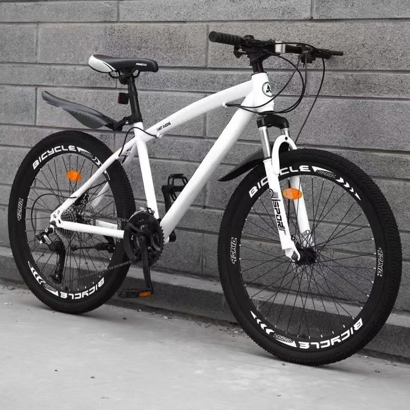 2024 NEW SENYI China factory cheap and good quality mountain Bicycle 20/22 /24/26 inch 21/24 speed adult bike student Bicycle