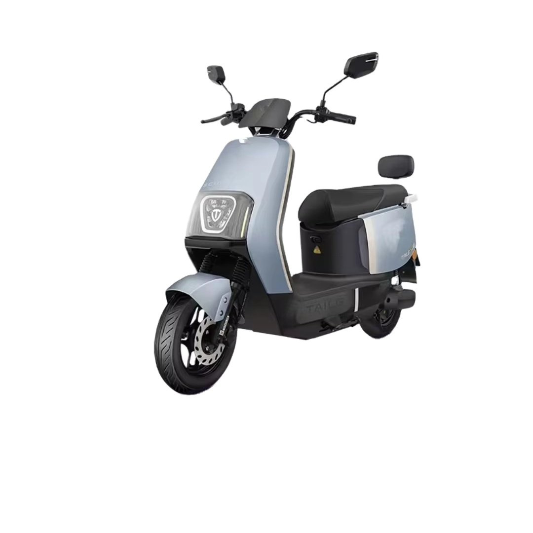 Best-Selling 800w Motor Electric City Bike for Adults Simple Design with All-Round Lighting Energy Saving