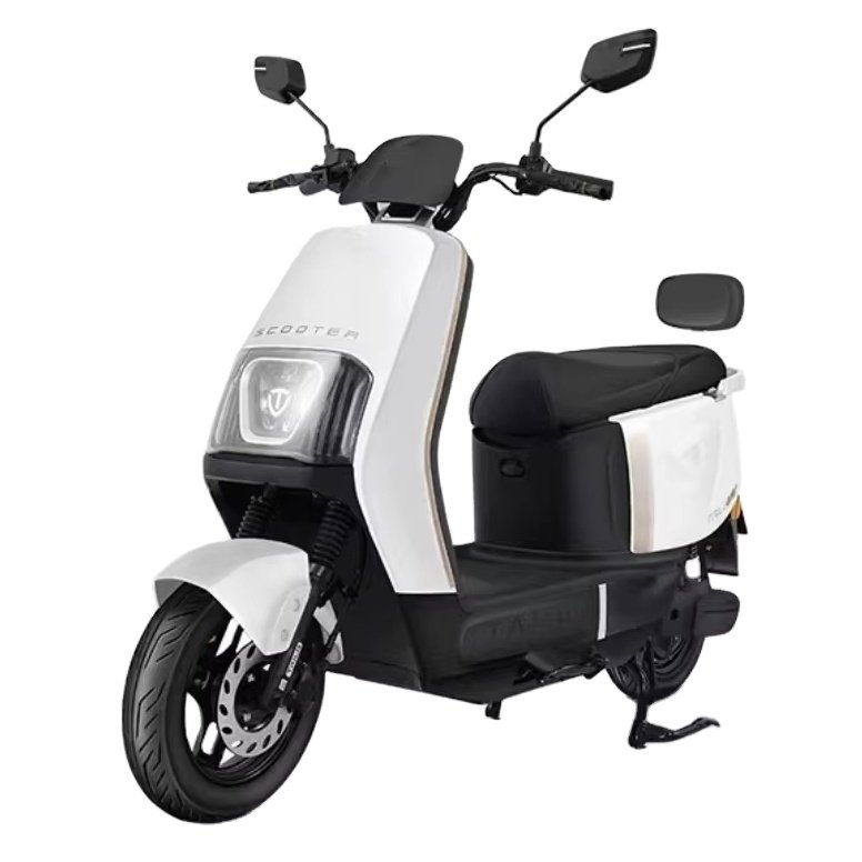 Best-Selling 800w Motor Electric City Bike for Adults Simple Design with All-Round Lighting Energy Saving