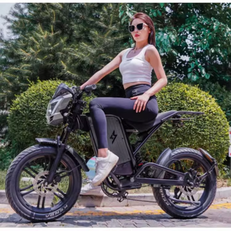 48V 1000W Fat Tire Electric Dirt Bikes for Adults All-Terrain Aluminum Alloy Mountain Bikes with Hub Motor Rear Hub