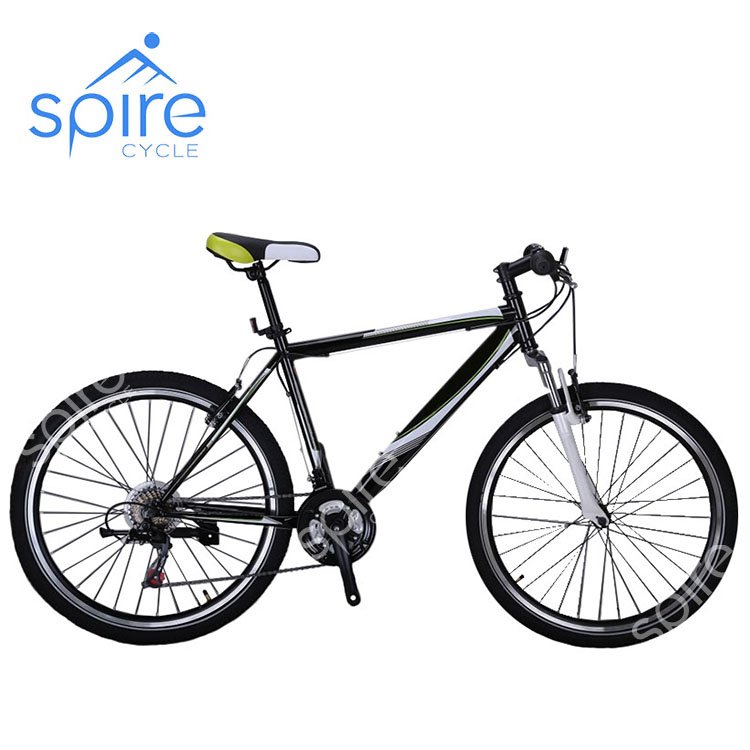 customized 21 speeds mountain bike for adult