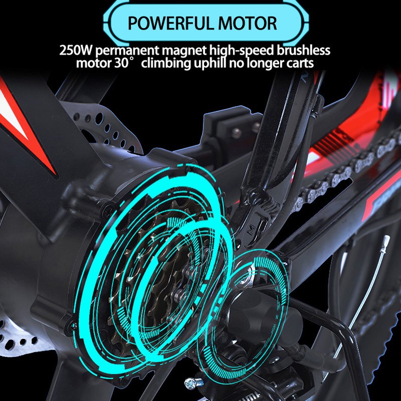 250W 48V 10AH Removable Battery Mountain Electric Bicycles Aluminum Alloy Electric Bike Disc Brake electrics bike