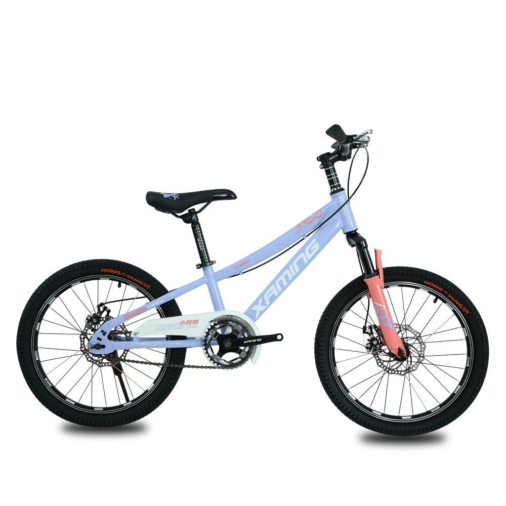 Wholesale price 21 speed variable speed bike 18-22 inch mountain bike for kids 8-16 years old