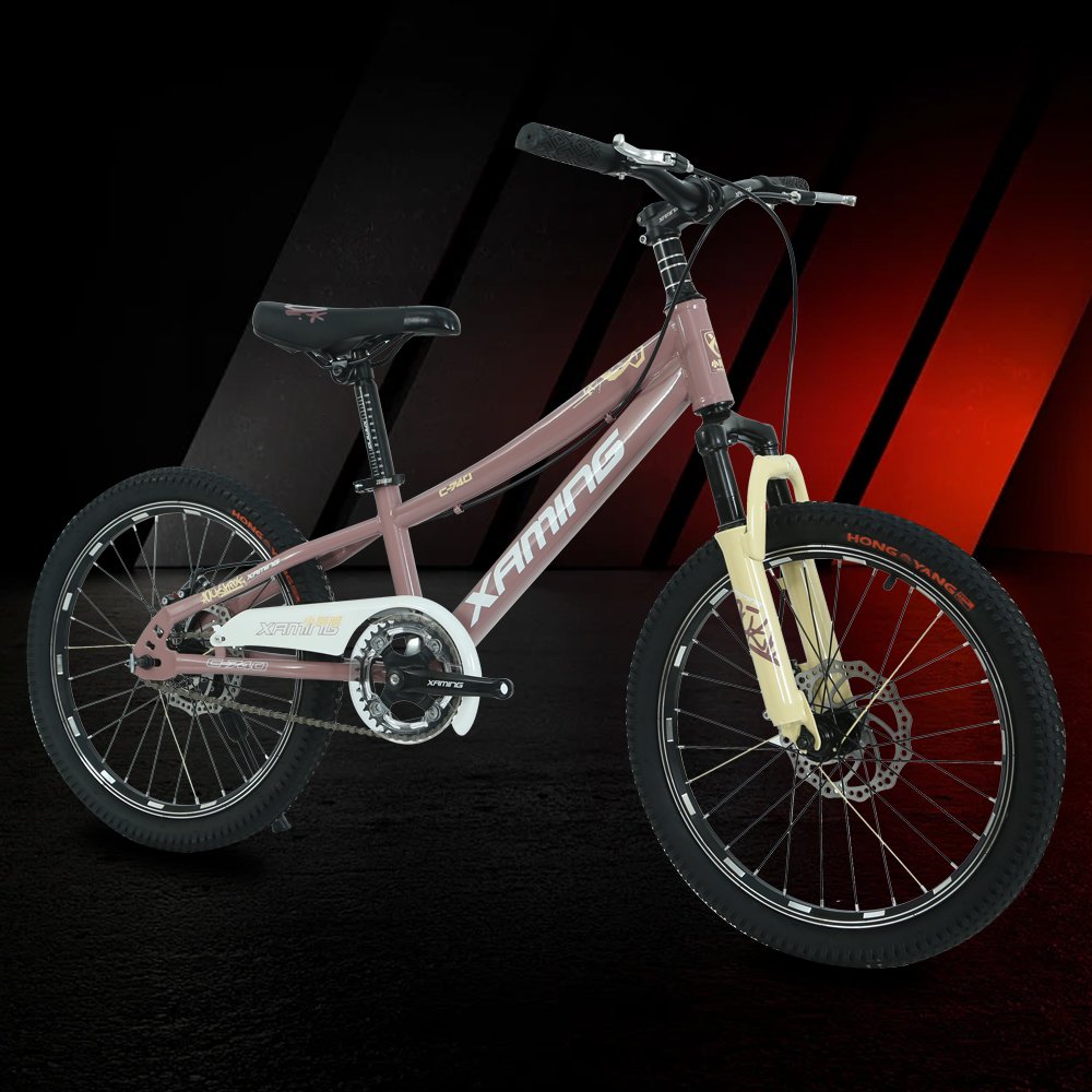 Wholesale price 21 speed variable speed bike 18-22 inch mountain bike for kids 8-16 years old