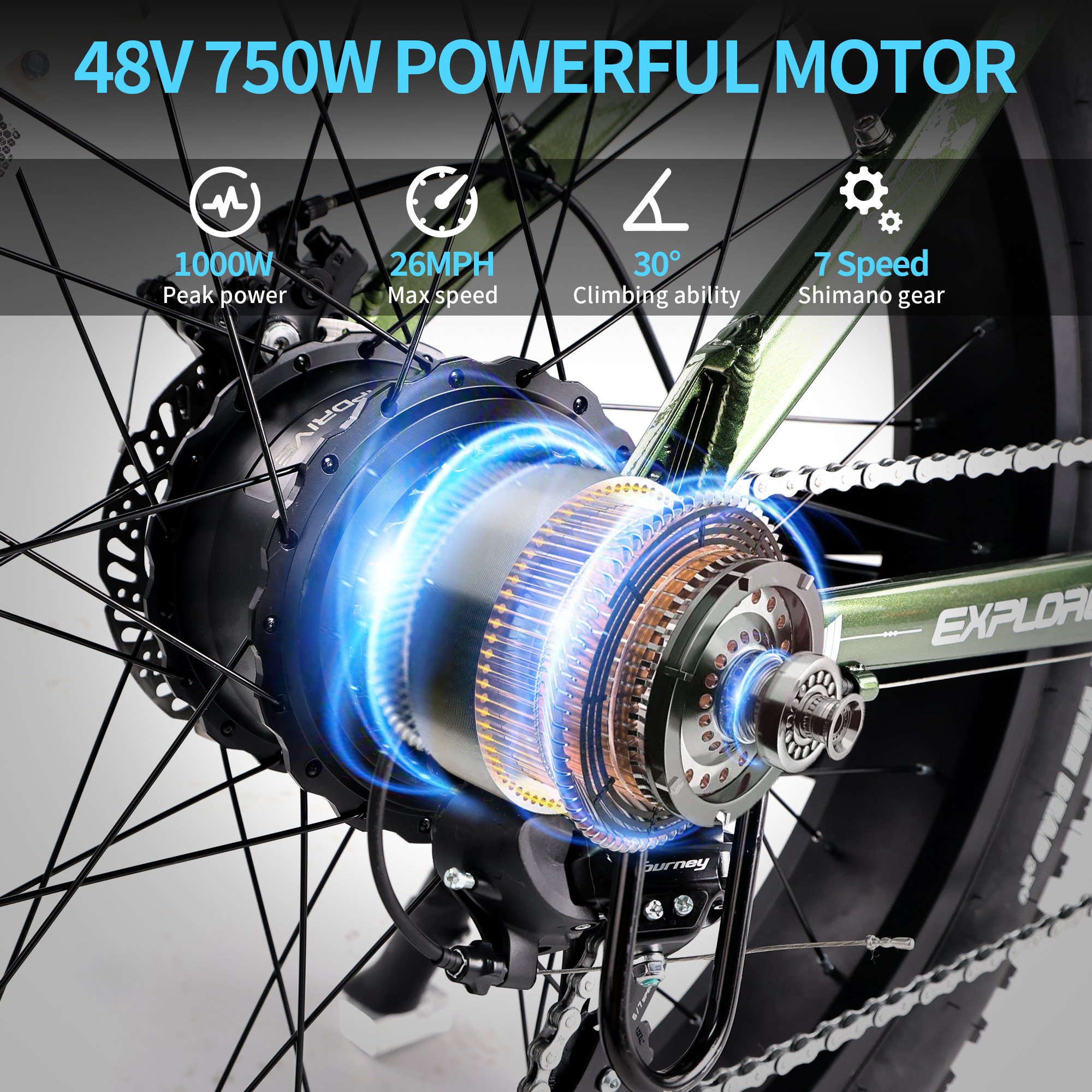 EU Stock 750W Brushless Motor Electric Snow Mountain Bike Removable Lithium 48V 15AH Dual Locking Susponsion Fat Tire Ebike