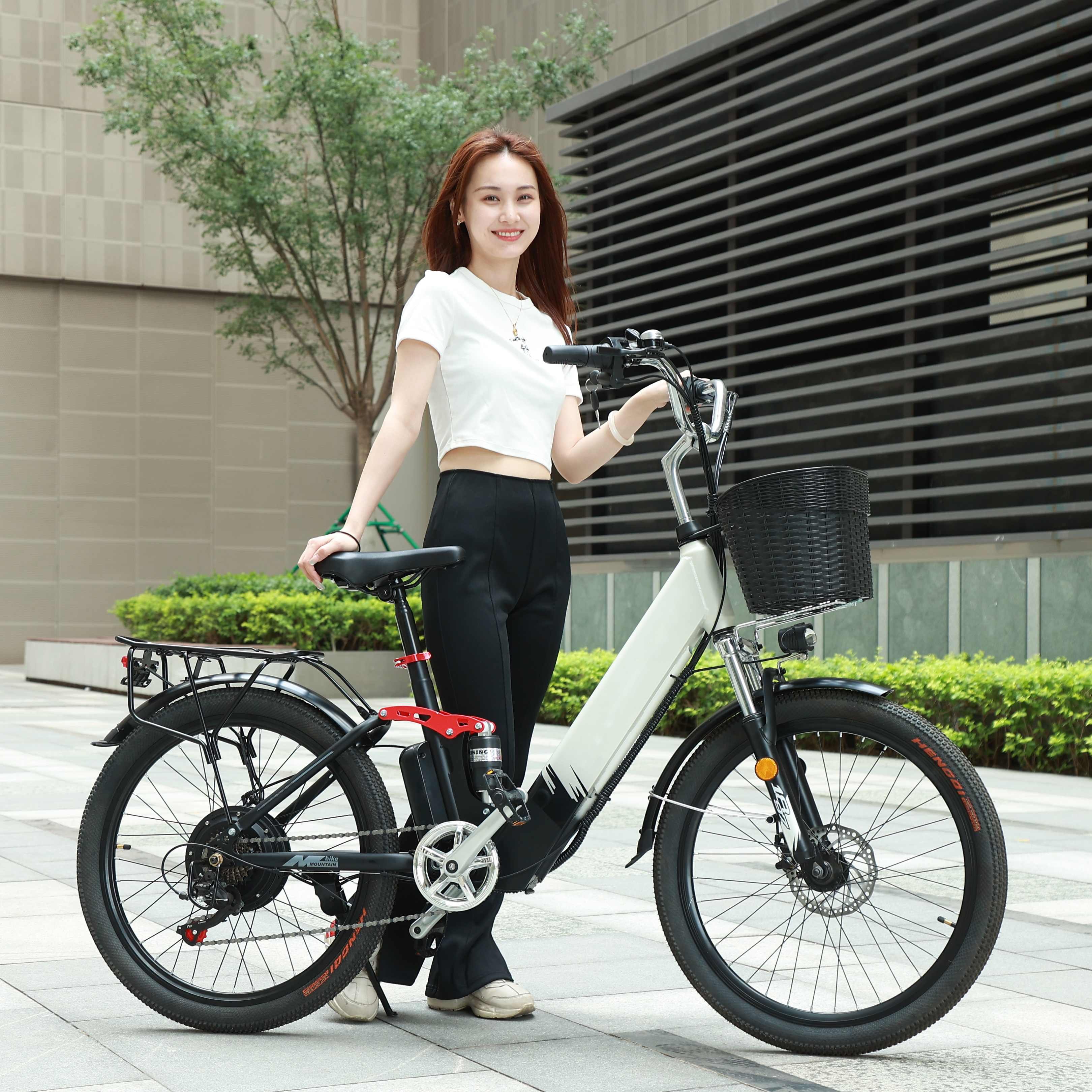 26 Inch 48v E-Bikes 1000W Electric Mountain Bike with Central Motor Hybrid Full Suspension Powder Bike