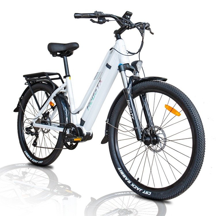 2024 New Electric Mountain Off-Road Bike 250W Motor Power 13ah Lithium Battery Aluminum Alloy Frame Powerful Features Adults