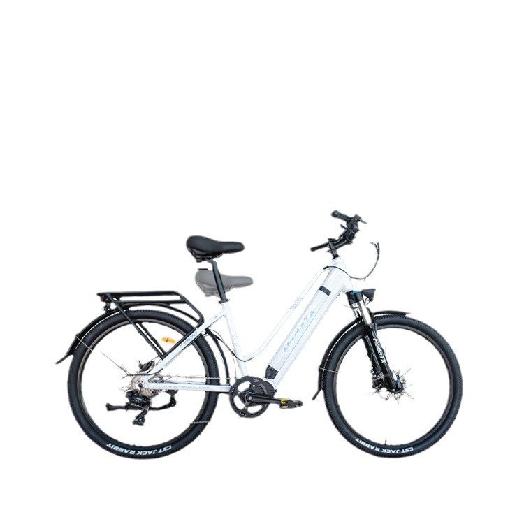 2024 New Electric Mountain Off-Road Bike 250W Motor Power 13ah Lithium Battery Aluminum Alloy Frame Powerful Features Adults