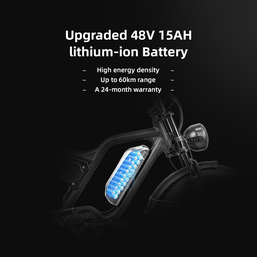 750W-1500W 48V Electric Mountain Bike with Disc Brake 20*4 Inch Fat Tire Ebike All Terrain for Adults Electric Bike