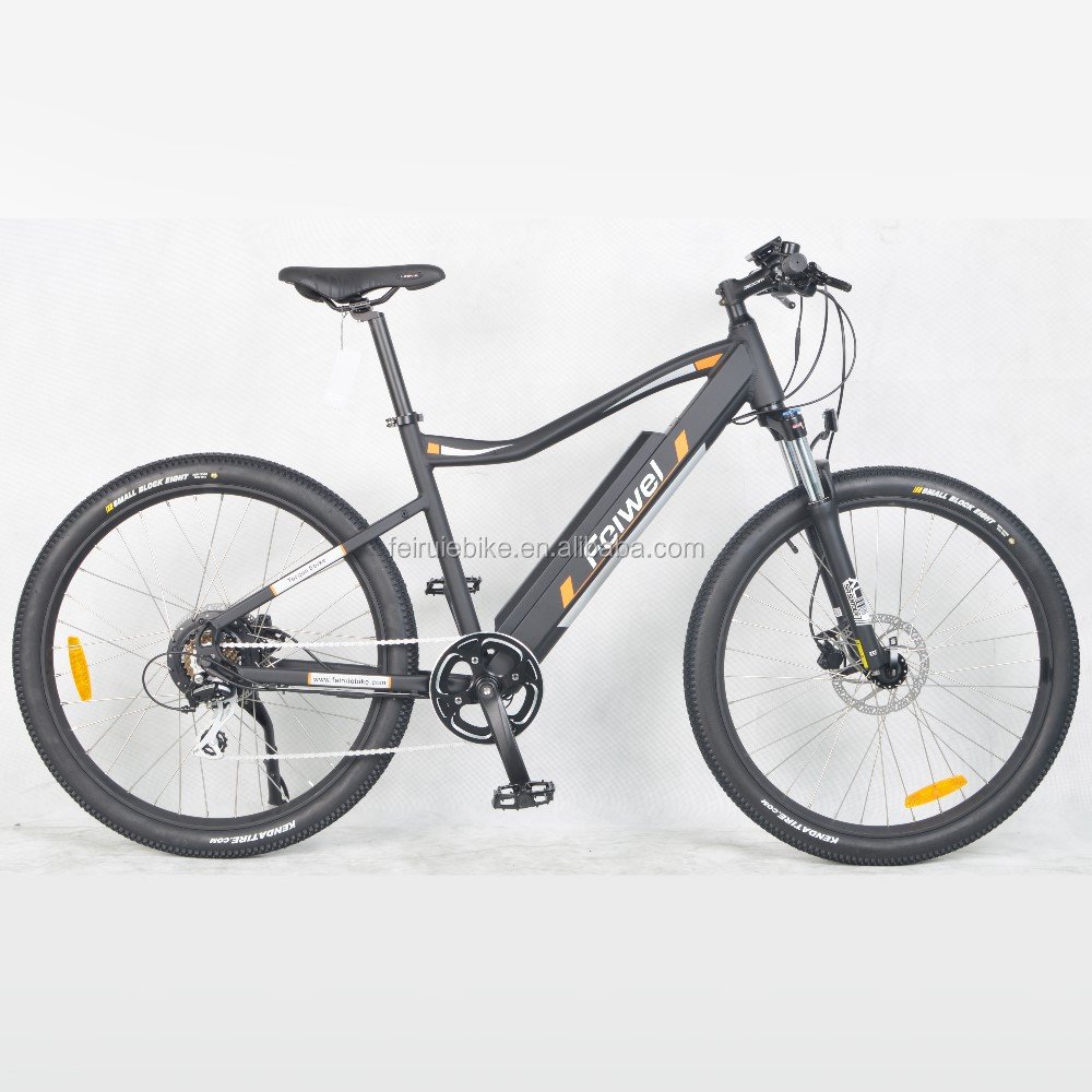 electric bike 1000w/electric bike for sale/ electric mountain bike