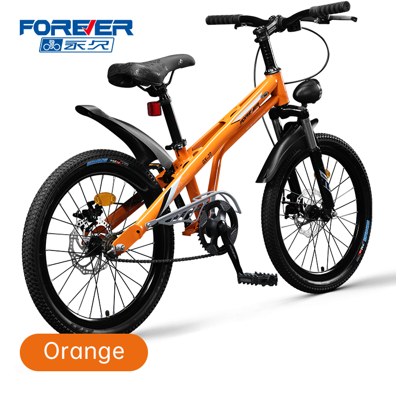 FOREVER Hot sale 20/22 inch Single/7 speed high carbon steel student mountain bike for student