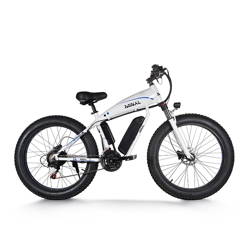 High Quality and Durable 48v 10A 350w Electric Mountain Bike Fat Tire Electric Bicycle e Bike