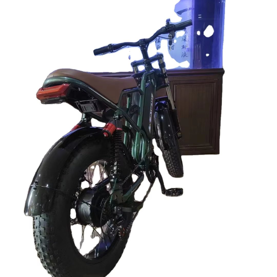 Factory Price 20 inch Fat Tire 48V E Bicycle 1000W 55km/h Electric Bike