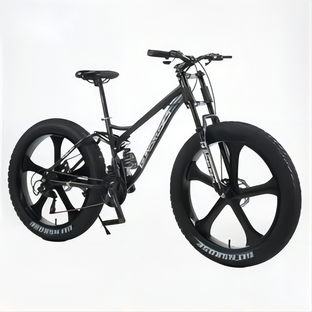 Factory direct sales Snow Bike Bikes Mountain Bicycle With Fat Tire and versatile variable speed mountain bike