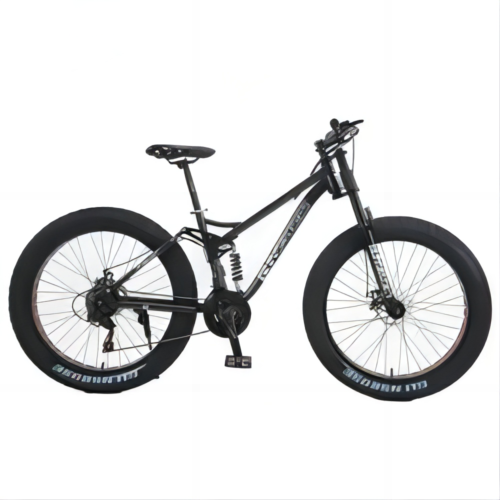 Factory direct sales Snow Bike Bikes Mountain Bicycle With Fat Tire and versatile variable speed mountain bike