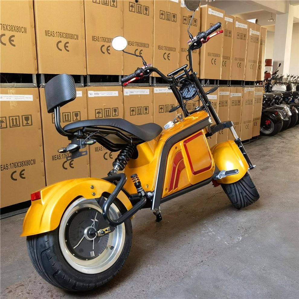 New Fashionable Stylish Electric Snow 60v Electric City Bike Skooters For Gift