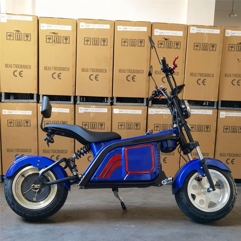 New Fashionable Stylish Electric Snow 60v Electric City Bike Skooters For Gift