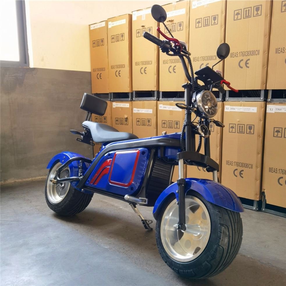 New Fashionable Stylish Electric Snow 60v Electric City Bike Skooters For Gift