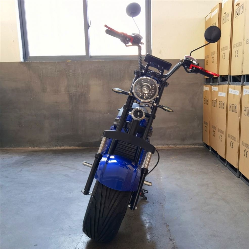 New Fashionable Stylish Electric Snow 60v Electric City Bike Skooters For Gift