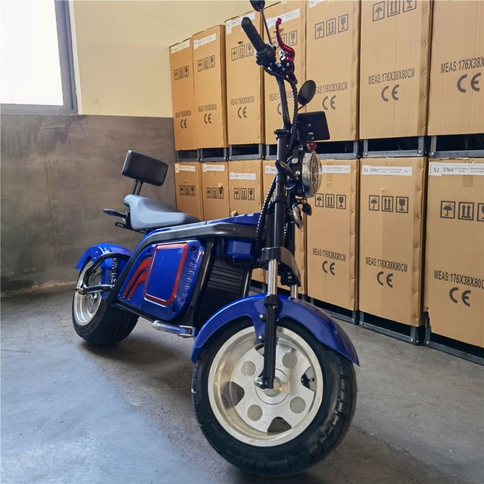 New Fashionable Stylish Electric Snow 60v Electric City Bike Skooters For Gift