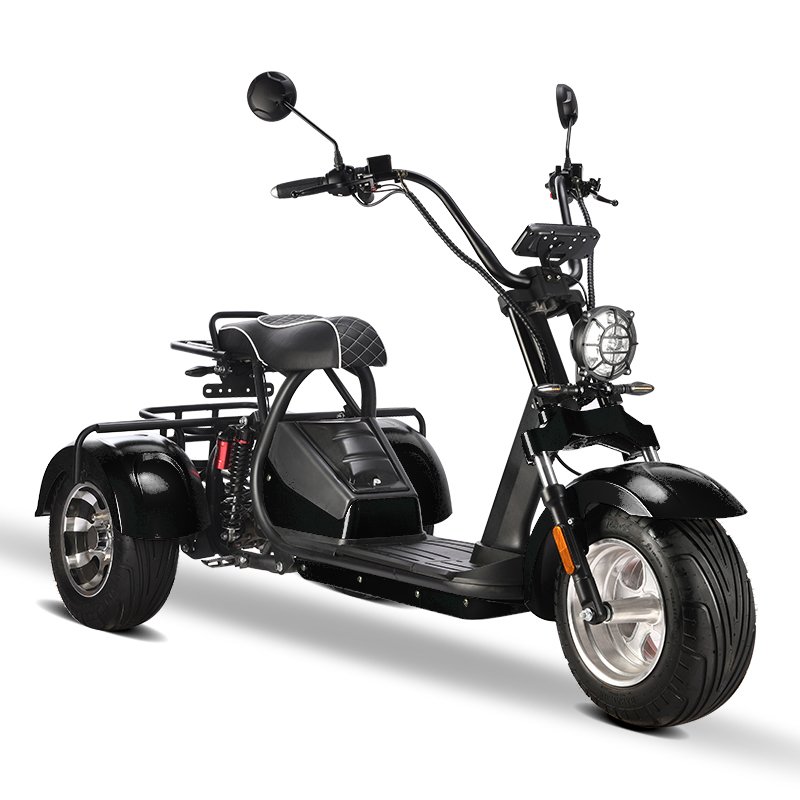 New design disc brake upgraded front fork 60V2000W three-wheel electric city coco trike bike