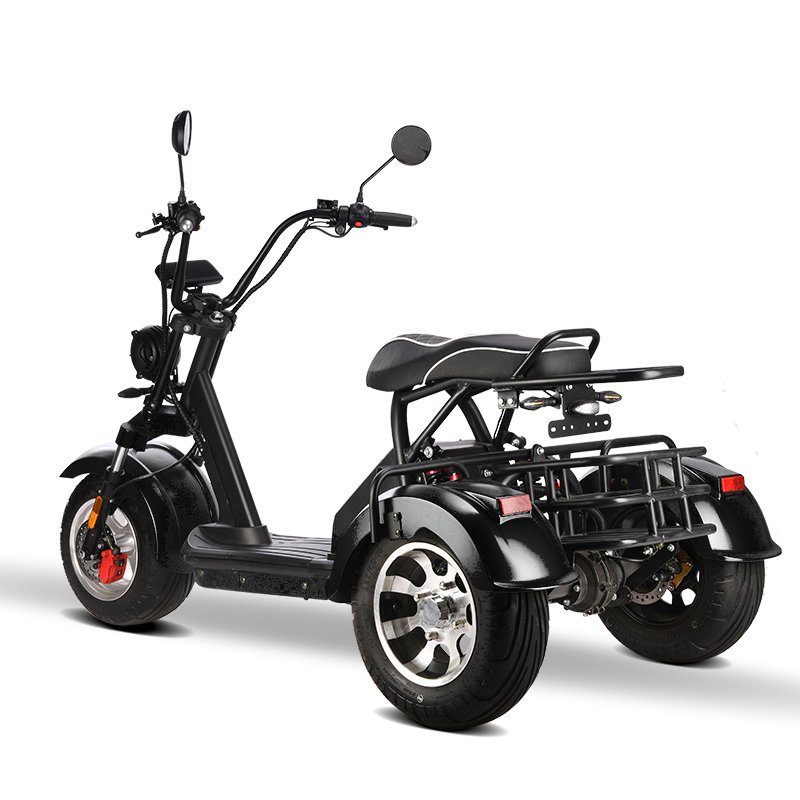 New design disc brake upgraded front fork 60V2000W three-wheel electric city coco trike bike
