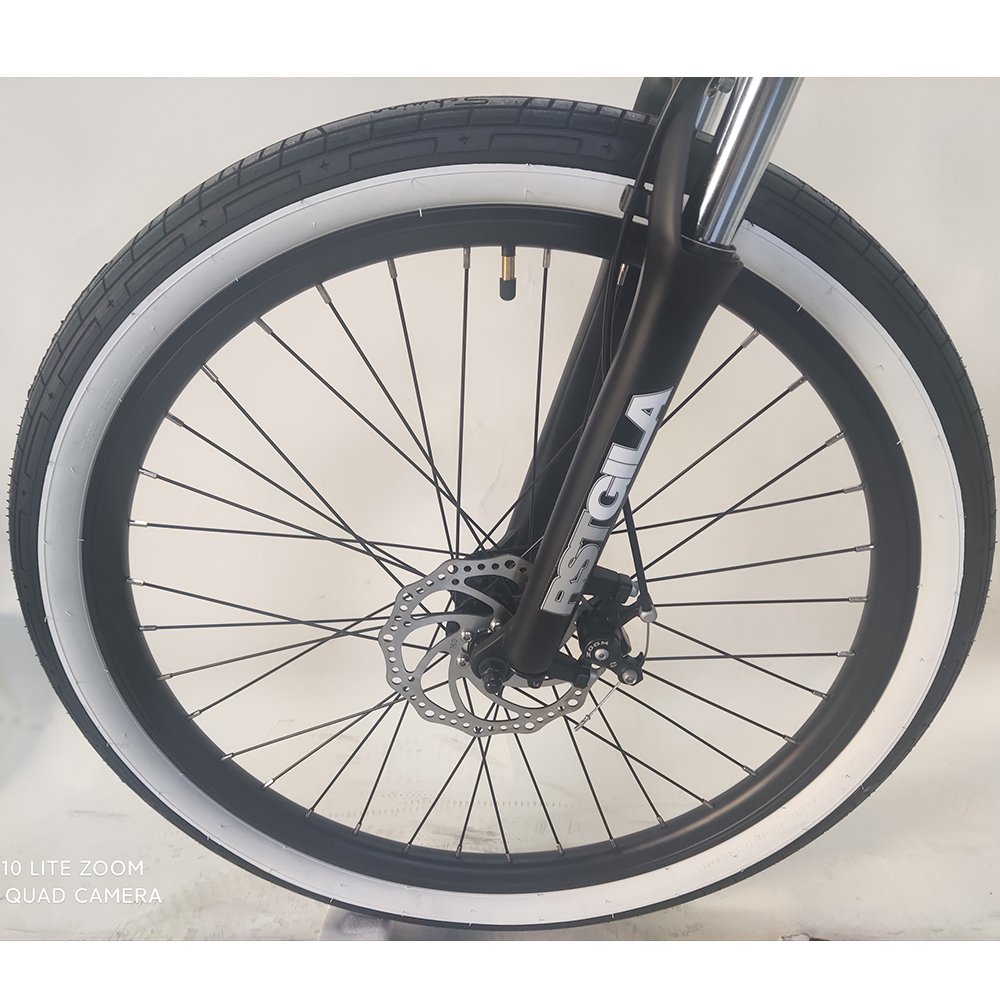 Europe Popular Retro Ebike E-Bicycle Removable Battery 7 Speed Electric City Bikes Bicycle for Lady Women Girl