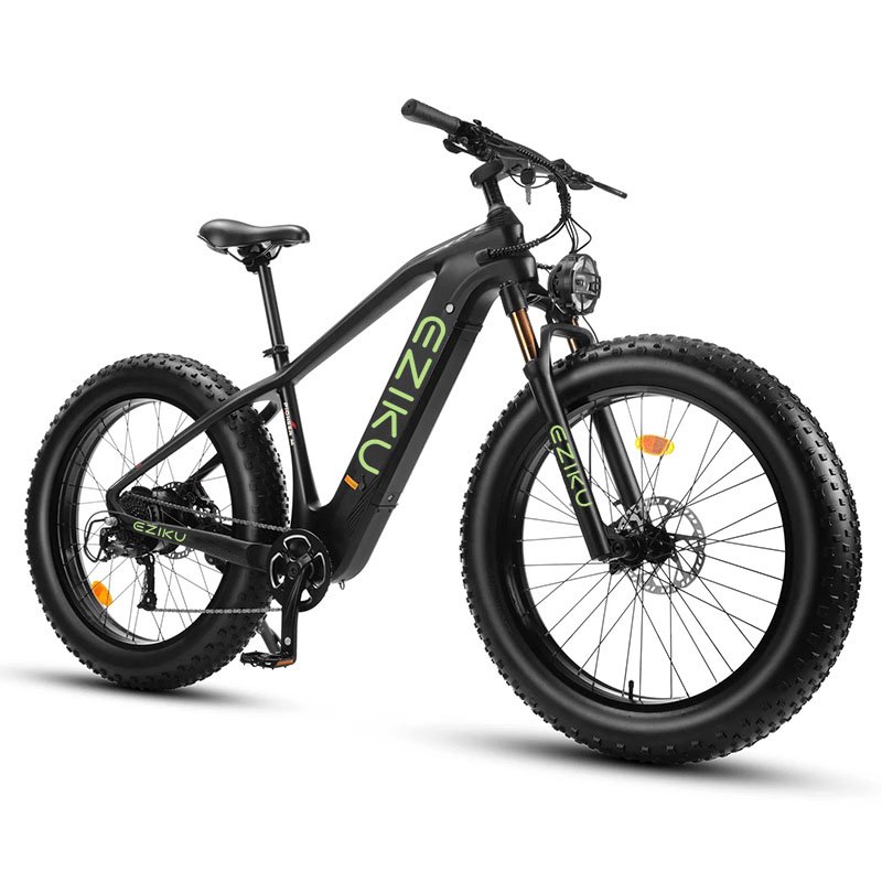 Eziku 1000W Electric Mountain Bike for Adults 20Ah Samsung Removable Battery 48v Fat Tire Oil Forks for Men