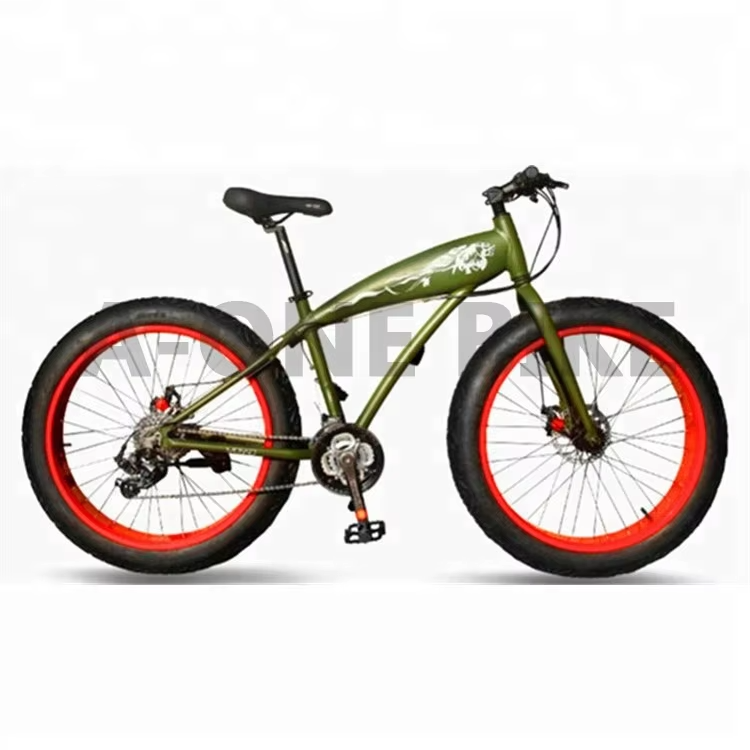 OEM Offered China Sport Fat Tire Bicicleta Cycling Bicycle High Quality Adult Fat Tyre Mountain Bike