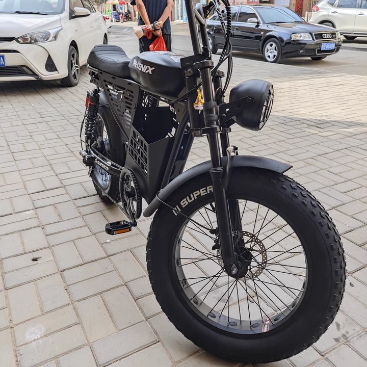EU Warehouse 500W 1000W 48V 30AH Dual Motor Off Road Electric Mountain Bikes Adult Electric Mountain Bike Fat Tire Electric Bike
