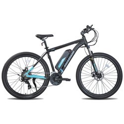 27.5 inch 350W