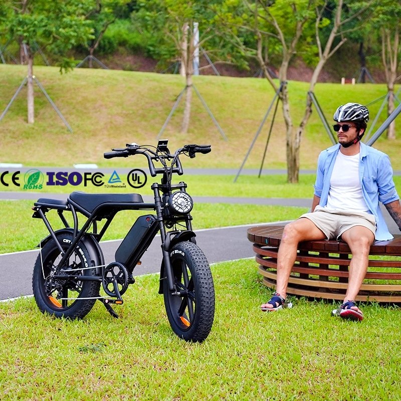 OUXI Direct Factory 48V Electric Road Bike Lithium Battery Electric Mountain Bike City Bike OUXI V8