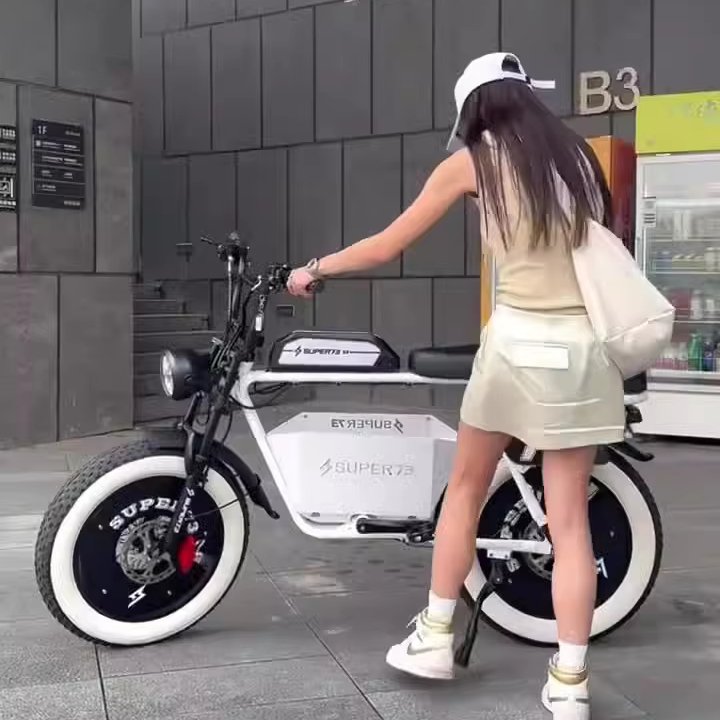 Factory Supplier OEM Mountain Electric Bike 48v 500w Mechanical Dual Disc Brake Full Suspension Electric Mountain Bike