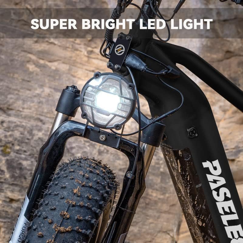 48v 750w/1000w fat tire electric mountain bike 20ah battery ebike for adult