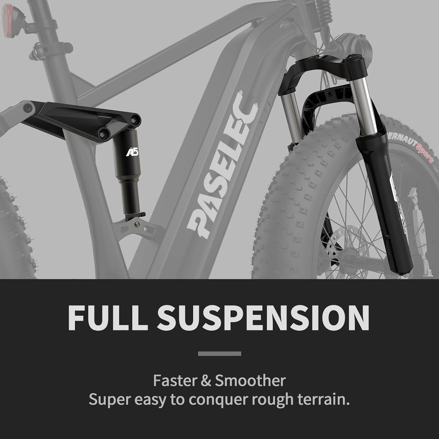 48v 750w/1000w fat tire electric mountain bike 20ah battery ebike for adult