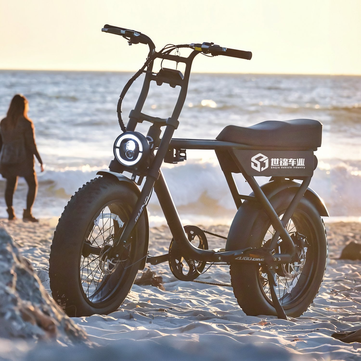 Eu Us Stock 20Inc Fat Tire Electric Bike Adults Electric Bicycle Ebike With 48V 18Ah Removable Battery For Sale