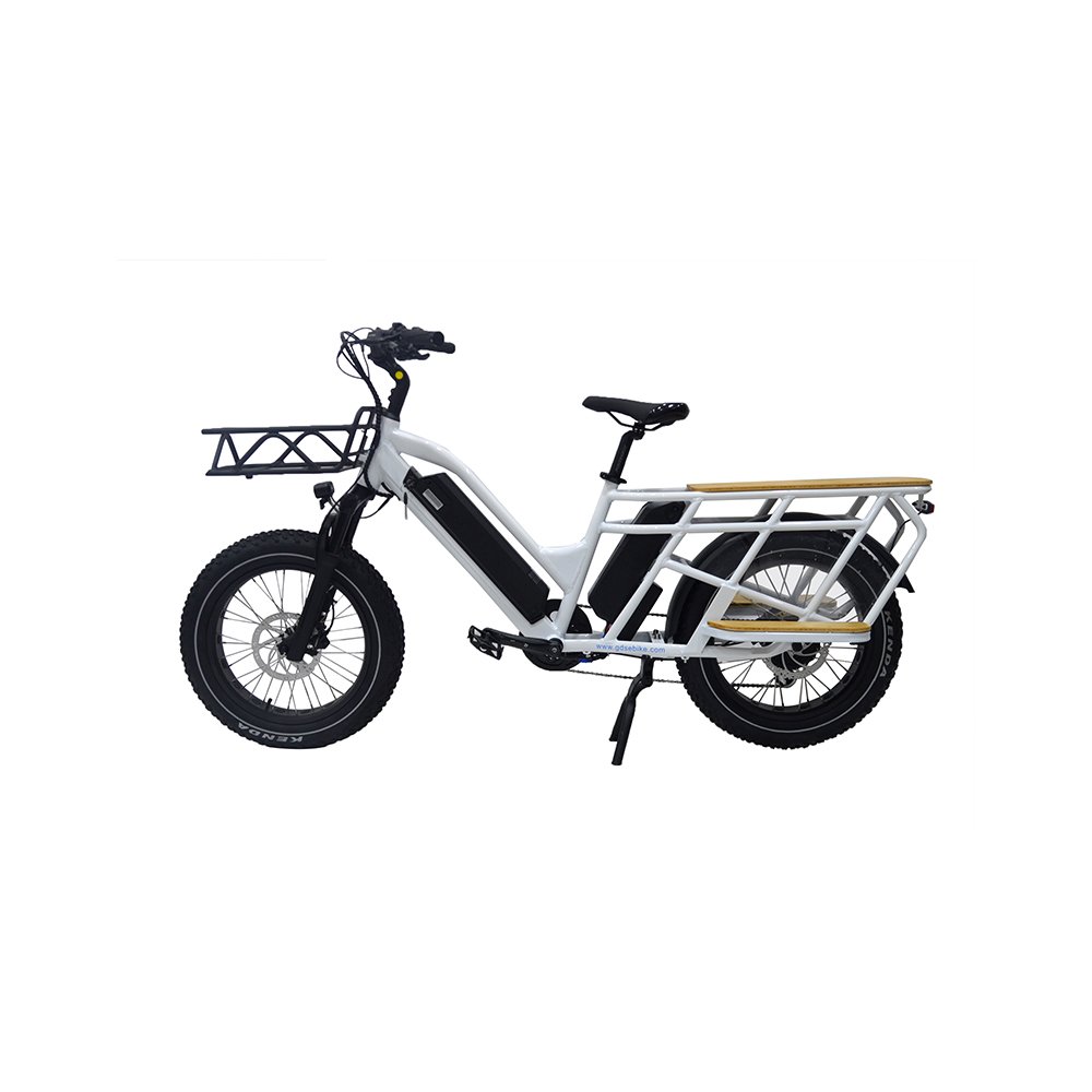 long range ebike vintage retro cargo bike electric ebike e-cargo family e bicycle