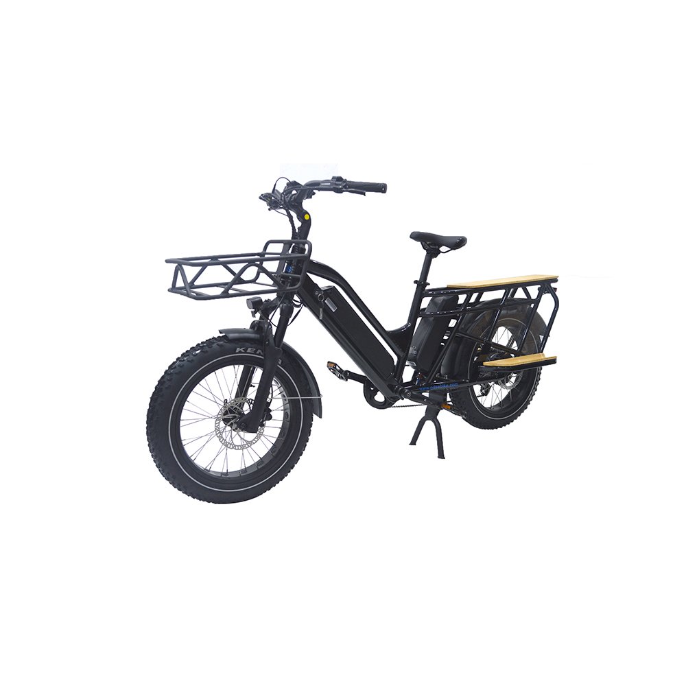 long range ebike vintage retro cargo bike electric ebike e-cargo family e bicycle