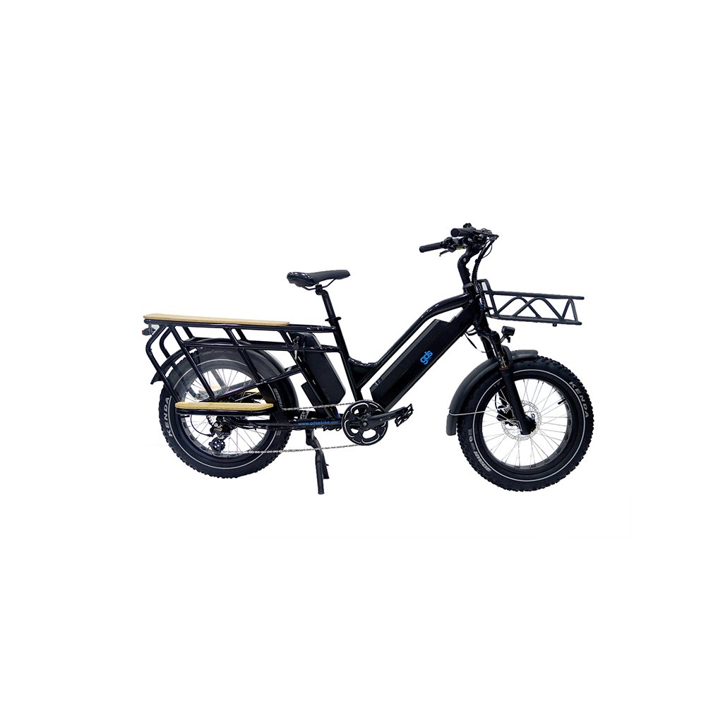 long range ebike vintage retro cargo bike electric ebike e-cargo family e bicycle