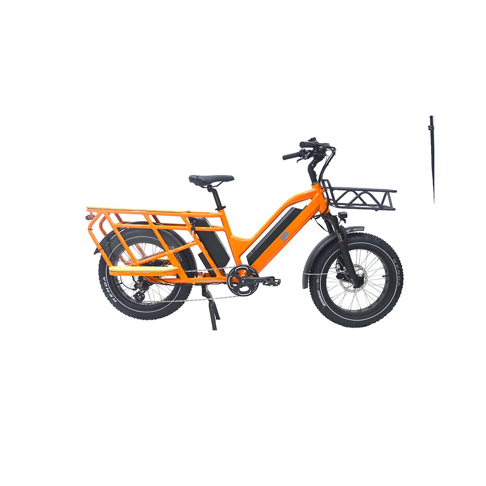 long range ebike vintage retro cargo bike electric ebike e-cargo family e bicycle