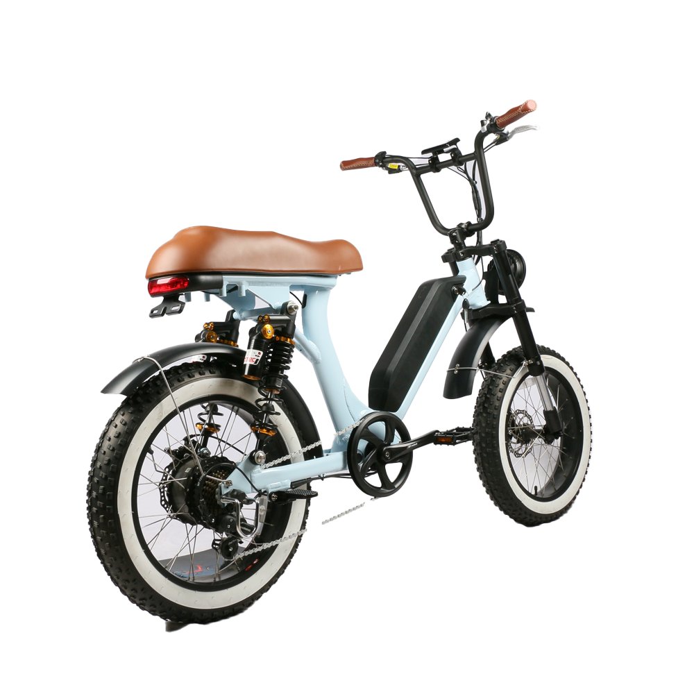 Removable lithium battery 48V20Ah city moped for adults electric motor 500w bike retro style for women