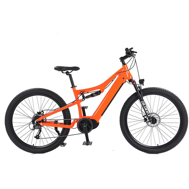 Best Buy Cheap Big warehouse fast delivery fat electric bike electric mountain bike 750w in high quality for sale for adult