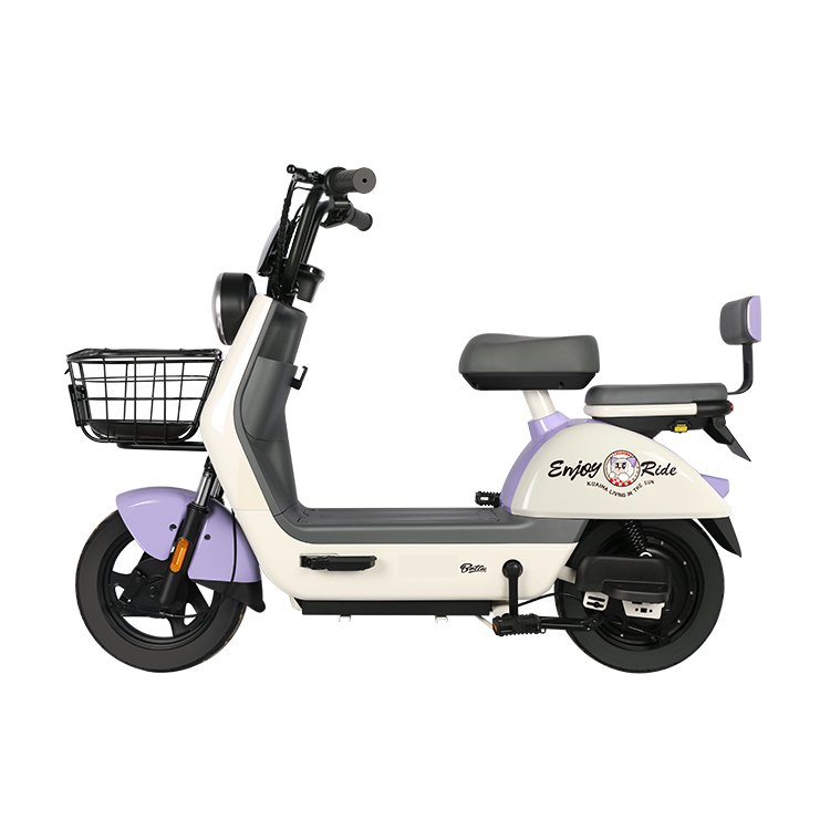 Adult Wholesale Electric Bikes With High Quality Electric Bike 48v Bicycle Mountain Bike Electric