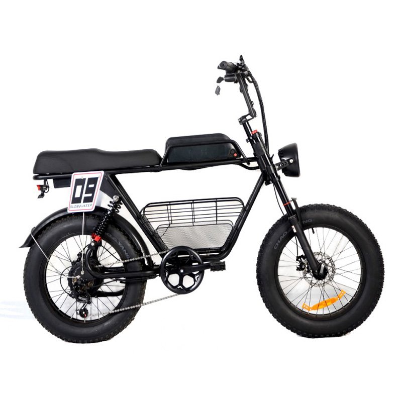 20inch Ebike Mountain Bike Ruihe S1 Electric Fat Bike with 1000W Brushless Motor for Men