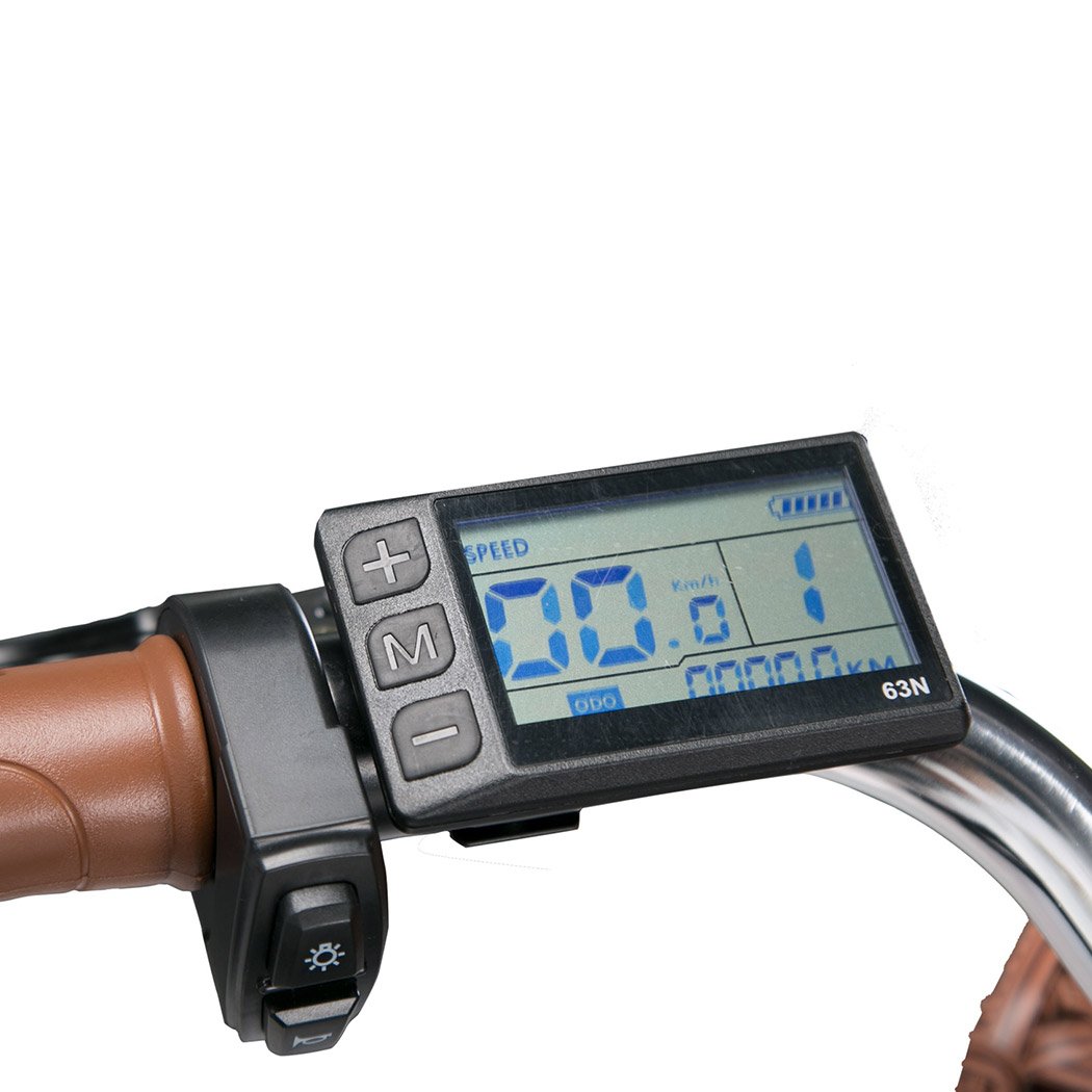 EU Warehouse Economical Cityrun 250W Electric City Bike for Daily Commutting