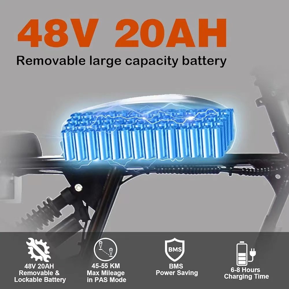 USA Warehouse High Speed 1000W Electric Bike for Adult,60KM/H Electric Bike Fat, Hydraulic Brake Beach Mountain ebike Bicycle